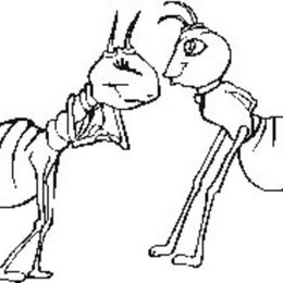 两只可爱的卡通蚂蚁