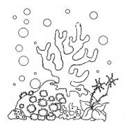 幼儿珊瑚群简笔画图片