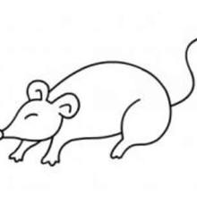 生动的老鼠简笔画