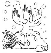 海底世界珊瑚简笔画图片