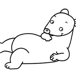 舒适躺的北极熊