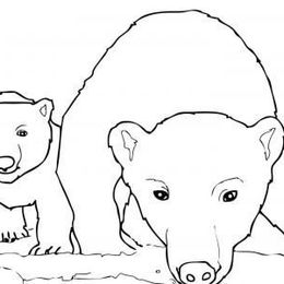 好奇的北极熊妈妈和宝宝