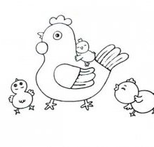 母鸡带小鸡简笔画