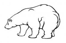 强壮的大北极熊简笔画图片