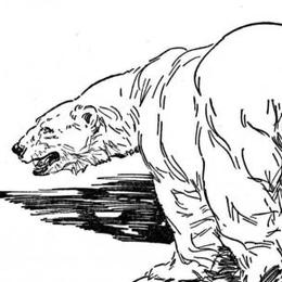 北极熊在冰面上行走