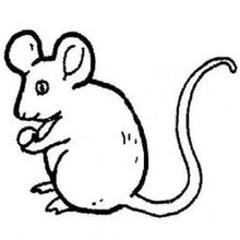 机智小老鼠简笔画图片