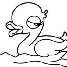 怎么画游泳的小鸭子