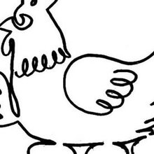 孵蛋的母鸡简笔画
