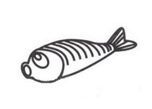 怎么画鱼简单又漂亮 鱼简笔画画法
