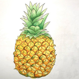生果菠萝简笔画怎样画过程图