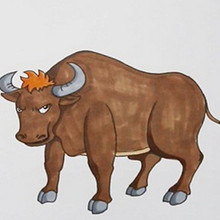 水牛的简笔画过程图片