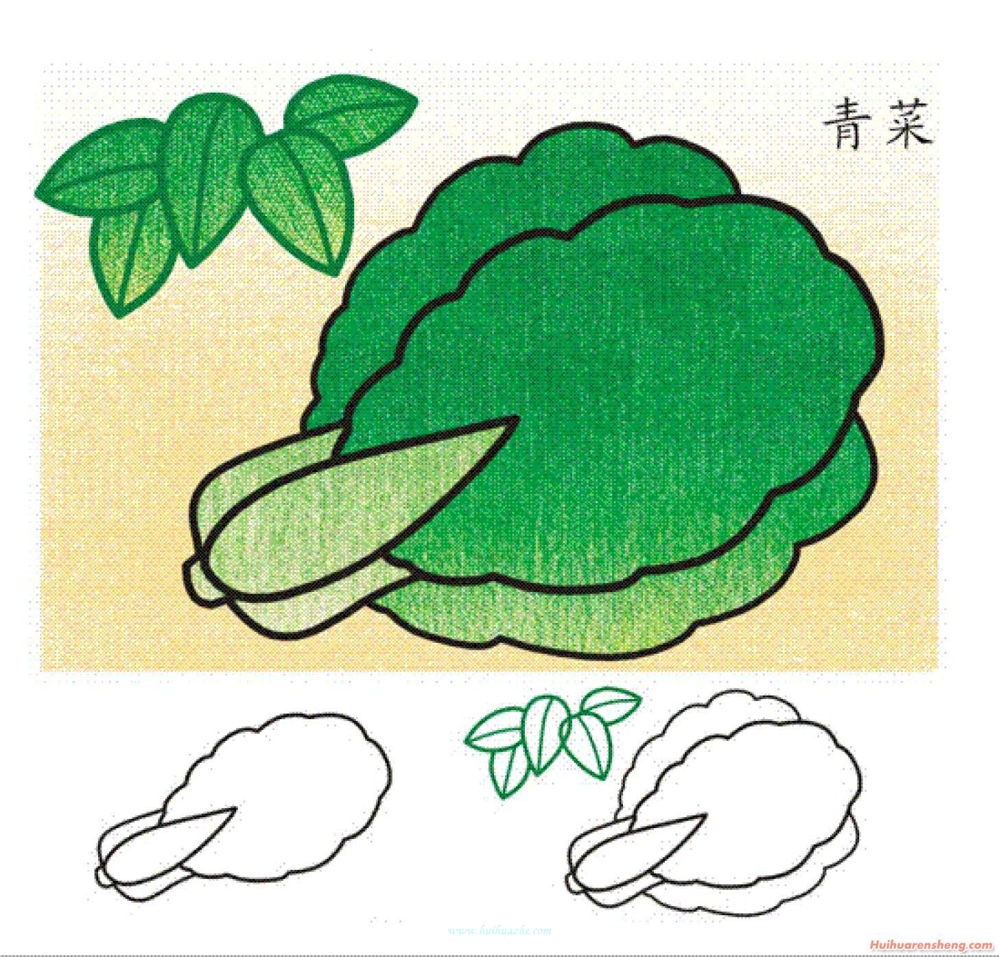 青菜简笔画图片 青菜怎么画教程-蔬菜简笔画-欣欣简笔画