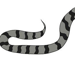 蛇的簡筆畫  蛇的簡筆畫畫法