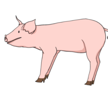 可爱的小猪简笔画如何画 可爱的小猪简笔画怎么画