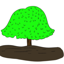 简单的树木简笔画简单又漂亮 简单的树木简笔画怎么画